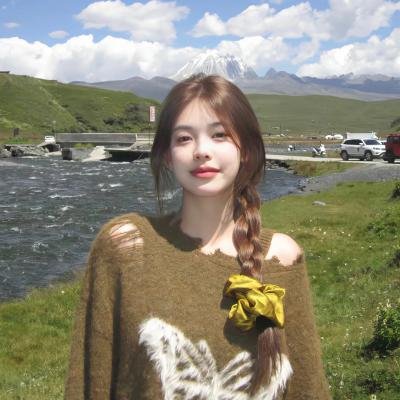 天鹅公主的圣诞节